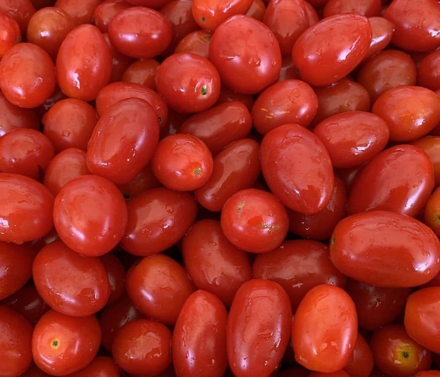 Pomodori Datterini BIO