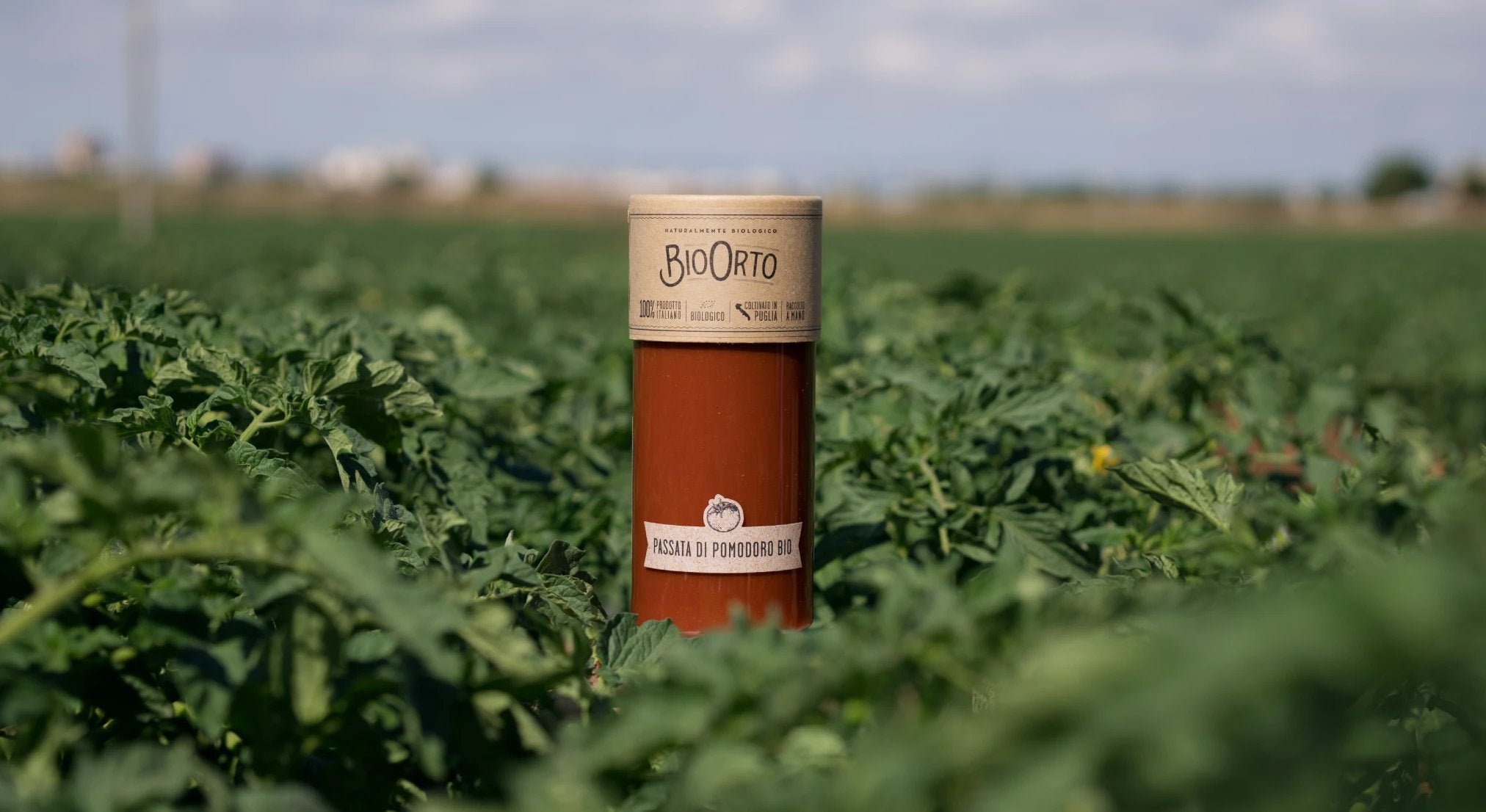 Pomodoro e conserve
