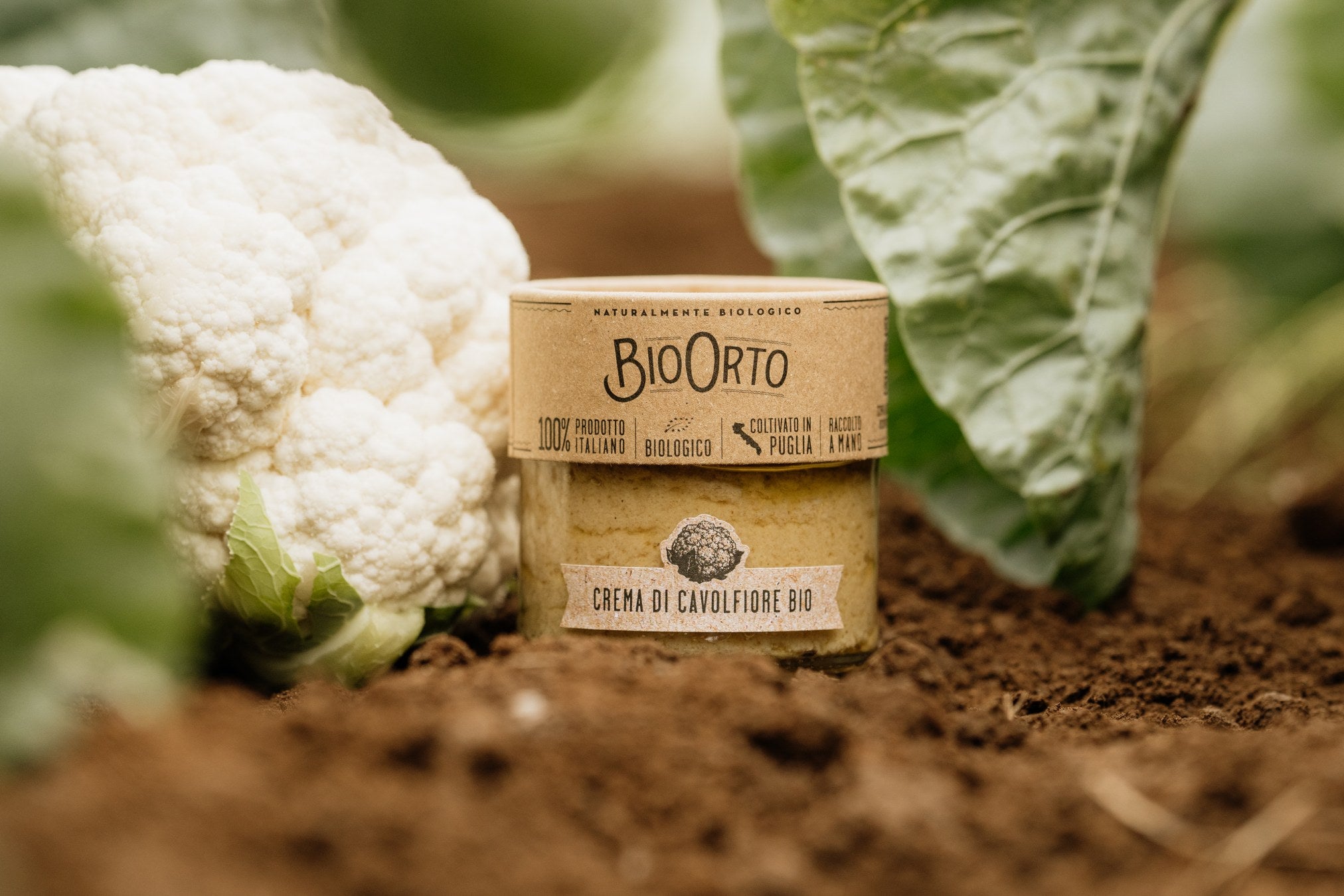 Organic Cauliflower Spread