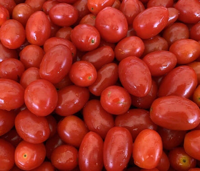 Pomodori Datterini BIO
